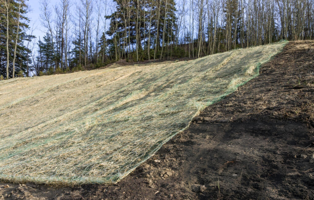 Benefits of Soil Stabilization